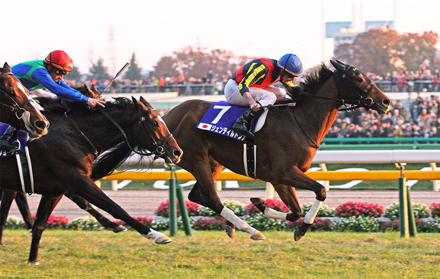 Fuchu Racecourse